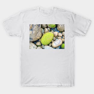 Rocks T-Shirt